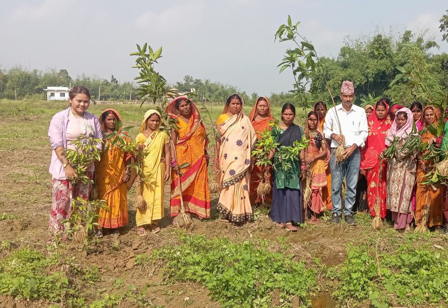 वडा अध्यक्ष वाग्लेले गराए सार्वजनिक जग्गामा बृछारोपण