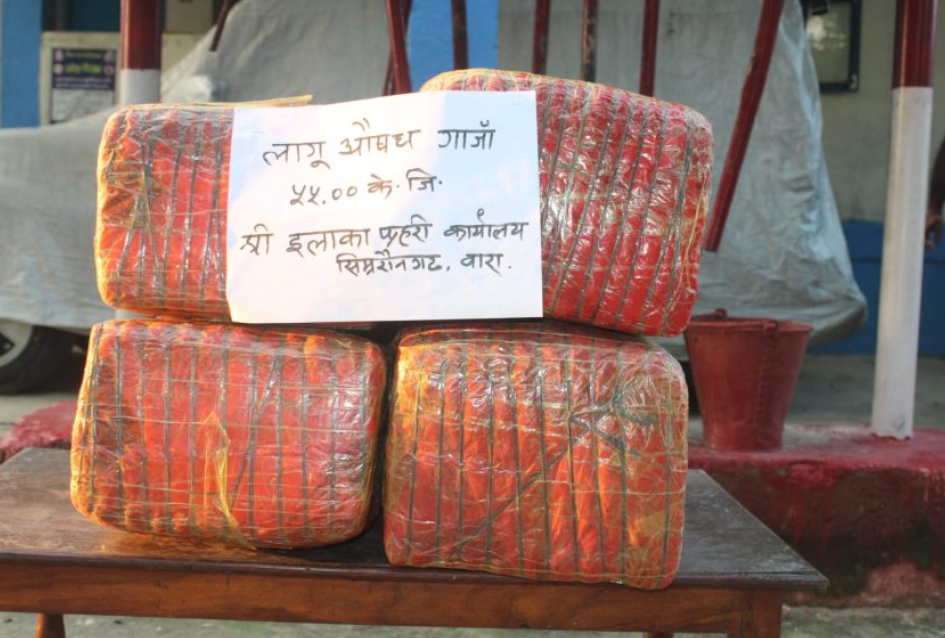 बाराको पचरौताबाट ५५ किलो गाँजासहित एक जना पक्राउ