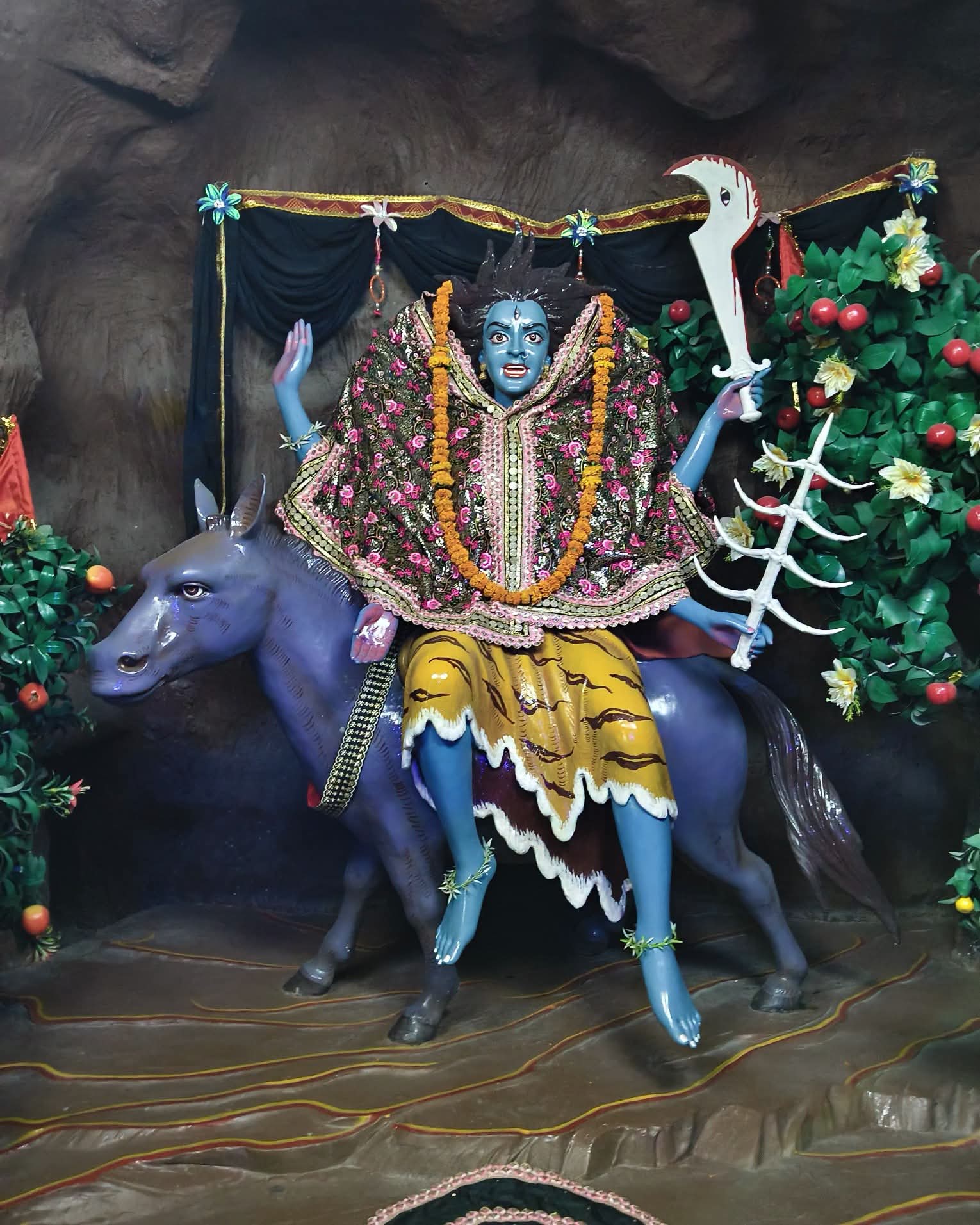 नवरात्रको सातौँ दिन आज कालरात्रि देवीको पूजा, घर घरमा फूलपाती भित्र्याइँदै